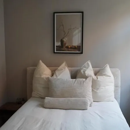 Apartment Deluxe Altstadt Luxus Klimaanlage Ladenburg